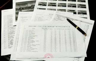 工作人员核对资料