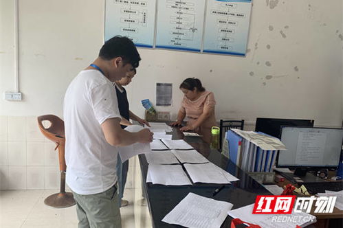 工作人员查看资料