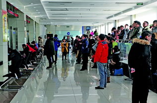 杭州代办公积金提取可靠吗？老客户深度解析真实体验