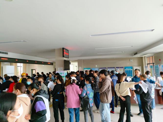 杭州公积金咨询代办提取：老司机教你避开这些坑，省心又靠谱