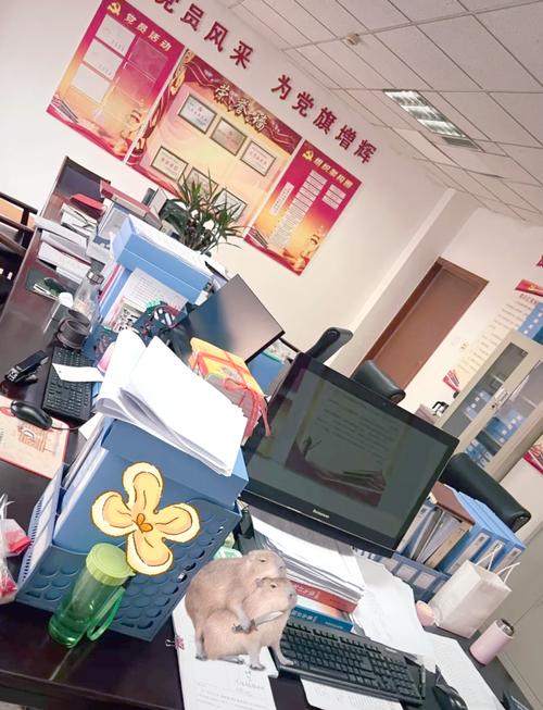 杭州住房公积金提取代办：省心服务背后的靠谱逻辑